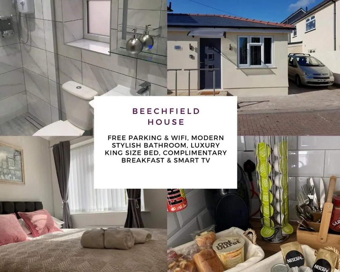 קארדיף Beechfield House Modern Studio Self-Contained Unit With Free Wifi And Parking And Kitchen Area 4M From City Centre And Castle דירה